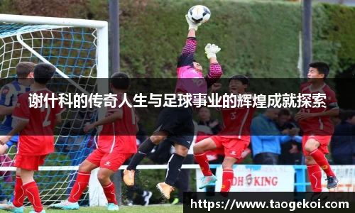 谢什科的传奇人生与足球事业的辉煌成就探索